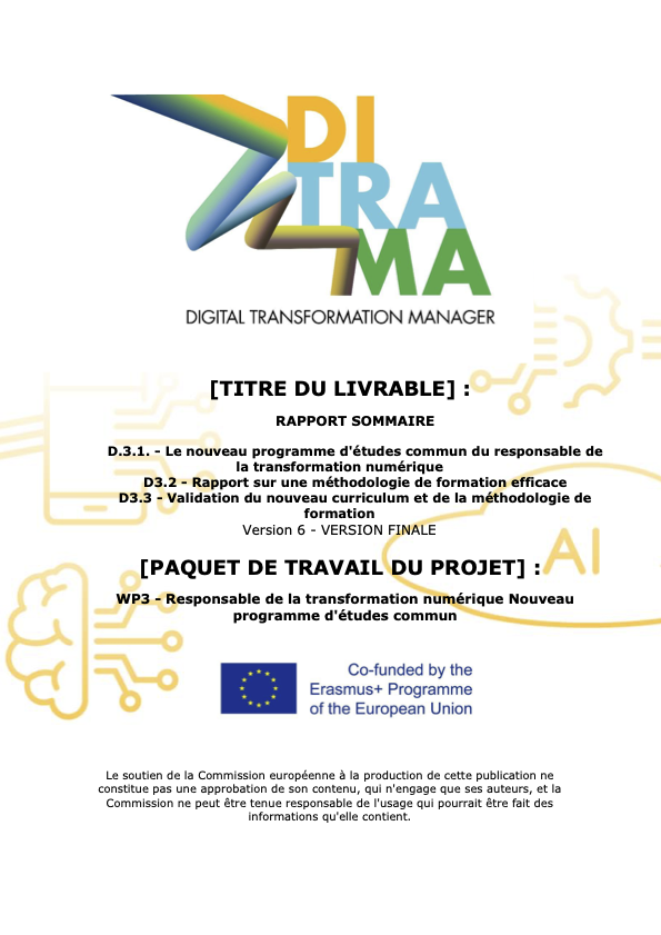 Rapport Sommaire - D3.1-2-3 – Programme d'études commun du responsable de la transformation numérique
