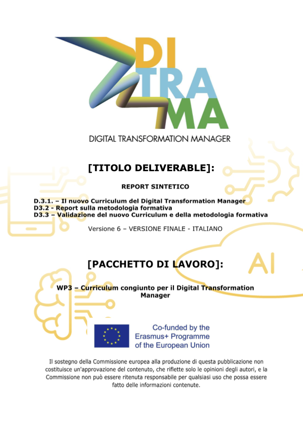 Report Sintetico - D3.1-2-3 – Curriculum integrato per il Digital Transformation Manager